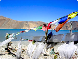 Ladakh Frozen Lake trekking- Ladakh frozen lake trekking information