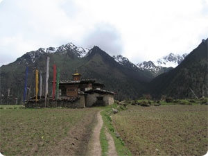Bhutan Laya Gasa Trekking - Bhutan Laya Gasa trekking information
