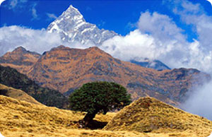 Mardi Himal Trekking - Mardi Himal trekking information
