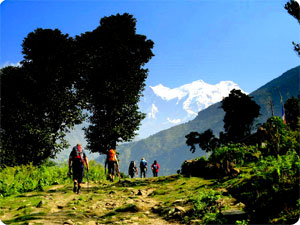 Nepal Club Adventure Tours