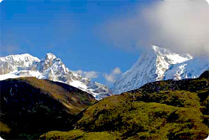 Sikkim Dzongri trekking