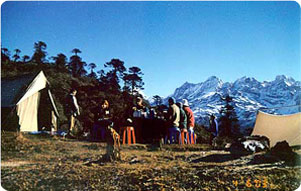 Sikkim Goecha La trekking- Sikkim Goecha la trekking information
