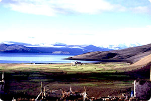 Tsomoriri Lake Trekking